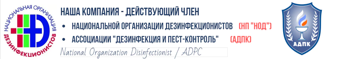 Баннер